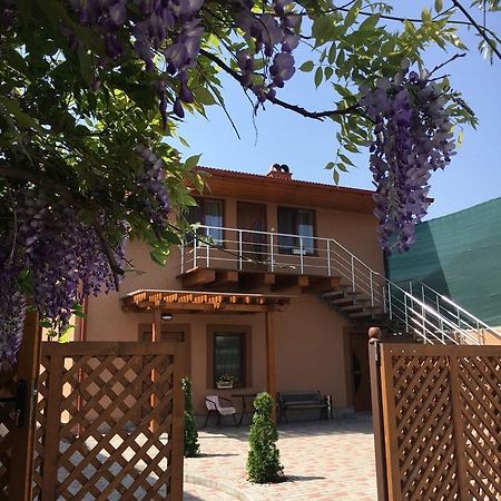 Holiday House Berehove (Transcarpathia) Exterior foto