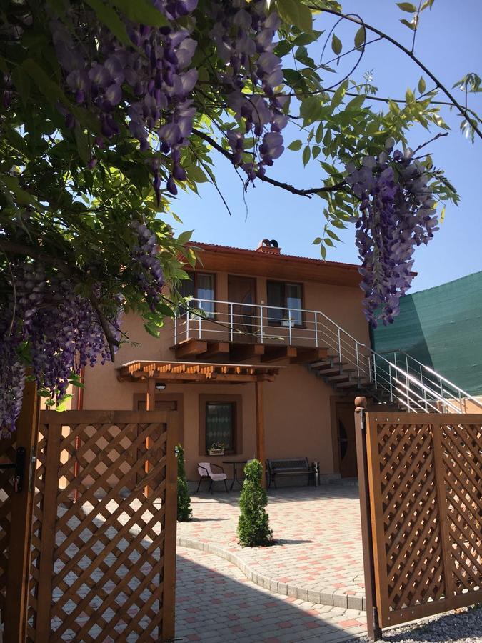 Holiday House Berehove (Transcarpathia) Exterior foto